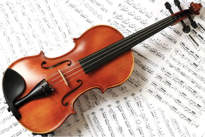 Dynamix Violin